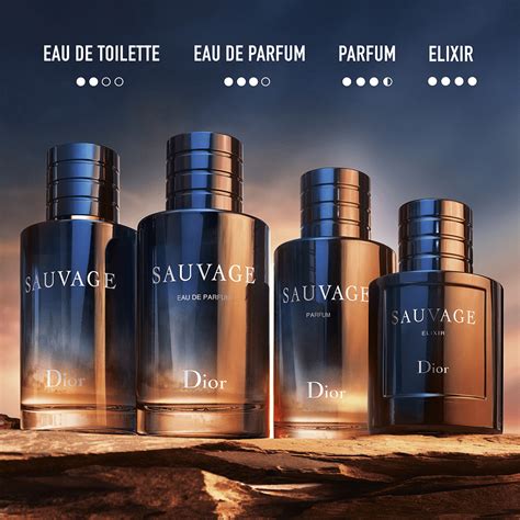 dior savage fragrantica|dior sauvage for men boots.